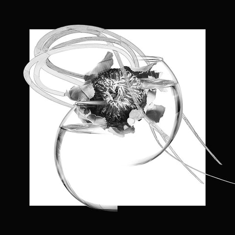 Drawing #38, 2025, photograph on paper by Cerulean Arts Collective Member Laurence Bach.