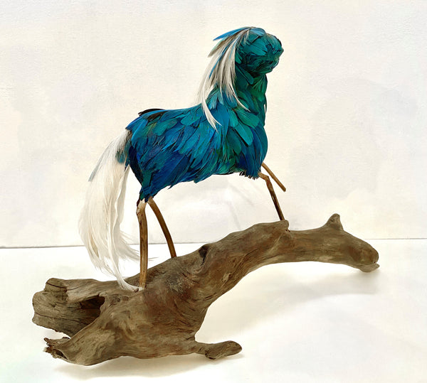 Alysa Bennett: Crossing Over