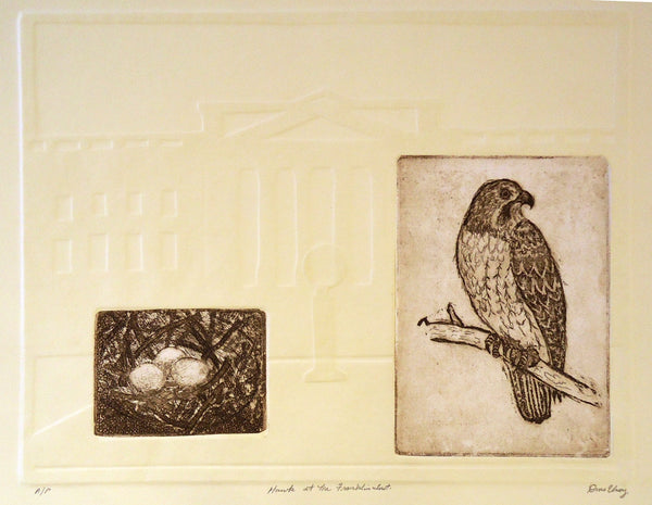 Dan McElroy: Hawk at the Franklin Institute