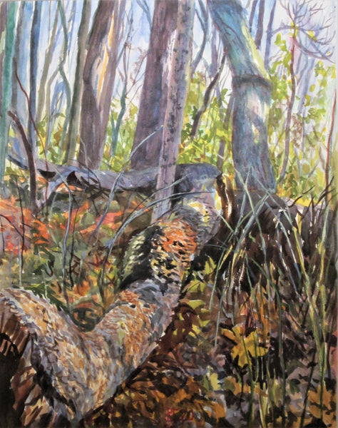 Richard Estell: Giant's Leg