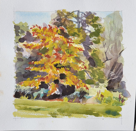 May Redbud, watercolor on Arches 140lb cold press paper painting by Cerulean Arts Collective Member Keith Leitner