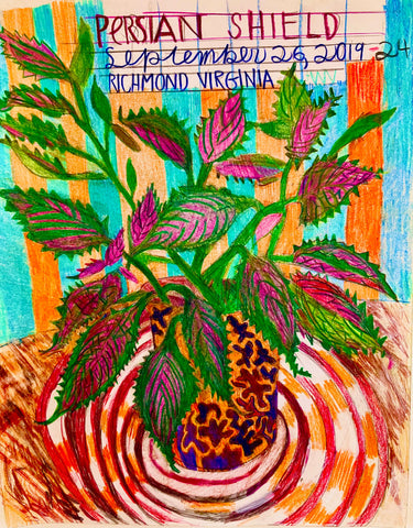 The Persian shield plant is native to tropical Myanmar, mixed media including artist-made foraged inks, printed on canvas by artist Jessica Levine.  Included in the exhibition REUNION (Once Upon a Time in Philadelphia), at Cerulean Arts February 26 - March 24, 2025.