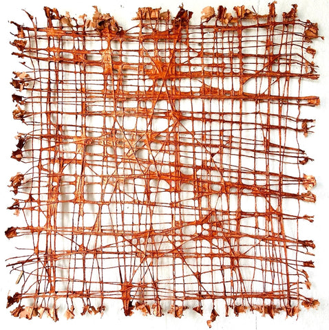 Web, paper pulp and pigments sculpture by Cerulean Arts Collective Member Anne Marble.