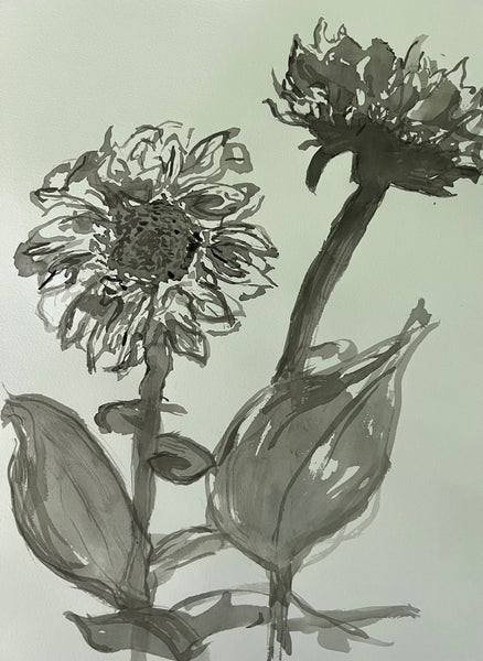 Amanda Moseley: Harold and Maude