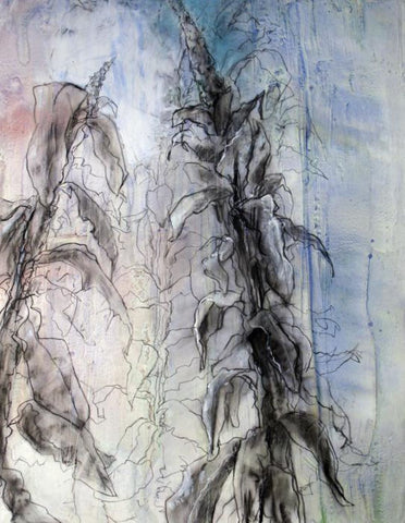 Verbascum Beauty, acrylic on canvas painting by Cerulean Arts Collective Member Ginny Perry