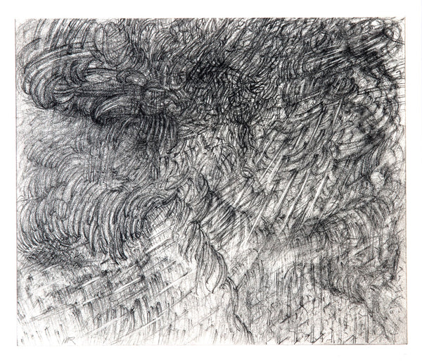 Michael Rossman: Ten Thousand Storms #38