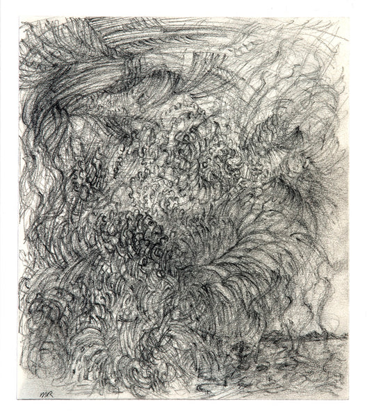 Michael Rossman: Ten Thousand Storms #43