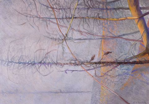 Jill A. Rupinski: Obscured View