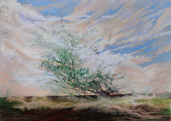 Jill A. Rupinsky: Perseverance