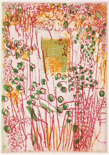 Bill Scott: A Backyard Garden