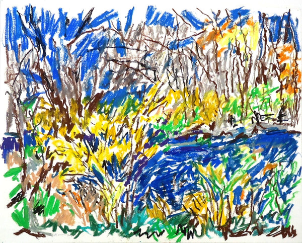 Karen Segal: Unami Creek