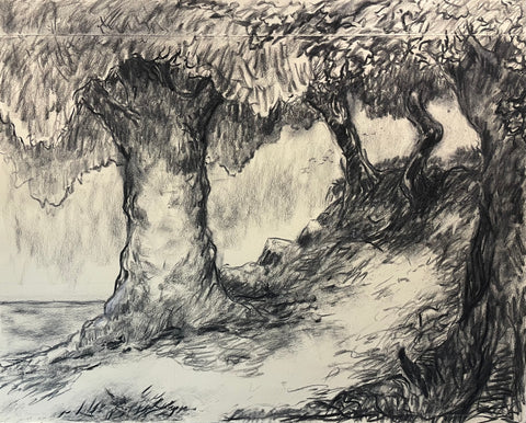 Charcoal Study for Oiseaux tristes, charcoal on Rives BFK paper drawing by Cerulean Arts Collective Member Jeff Thomsen