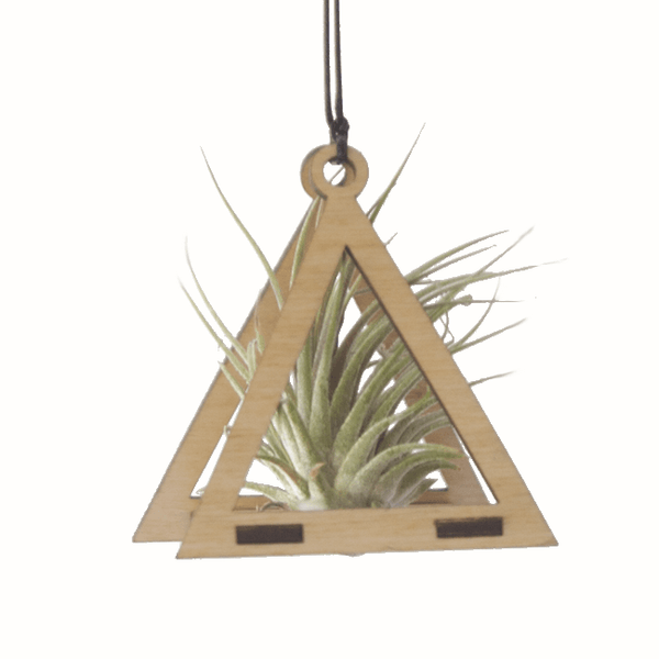 Air Plant Hanger - Mini Triangle Maple - Cerulean Arts